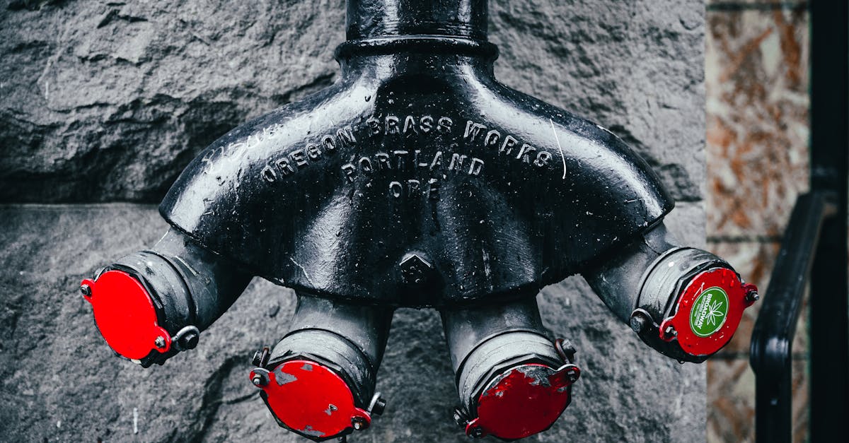 积目实名账号：多平台vip购买