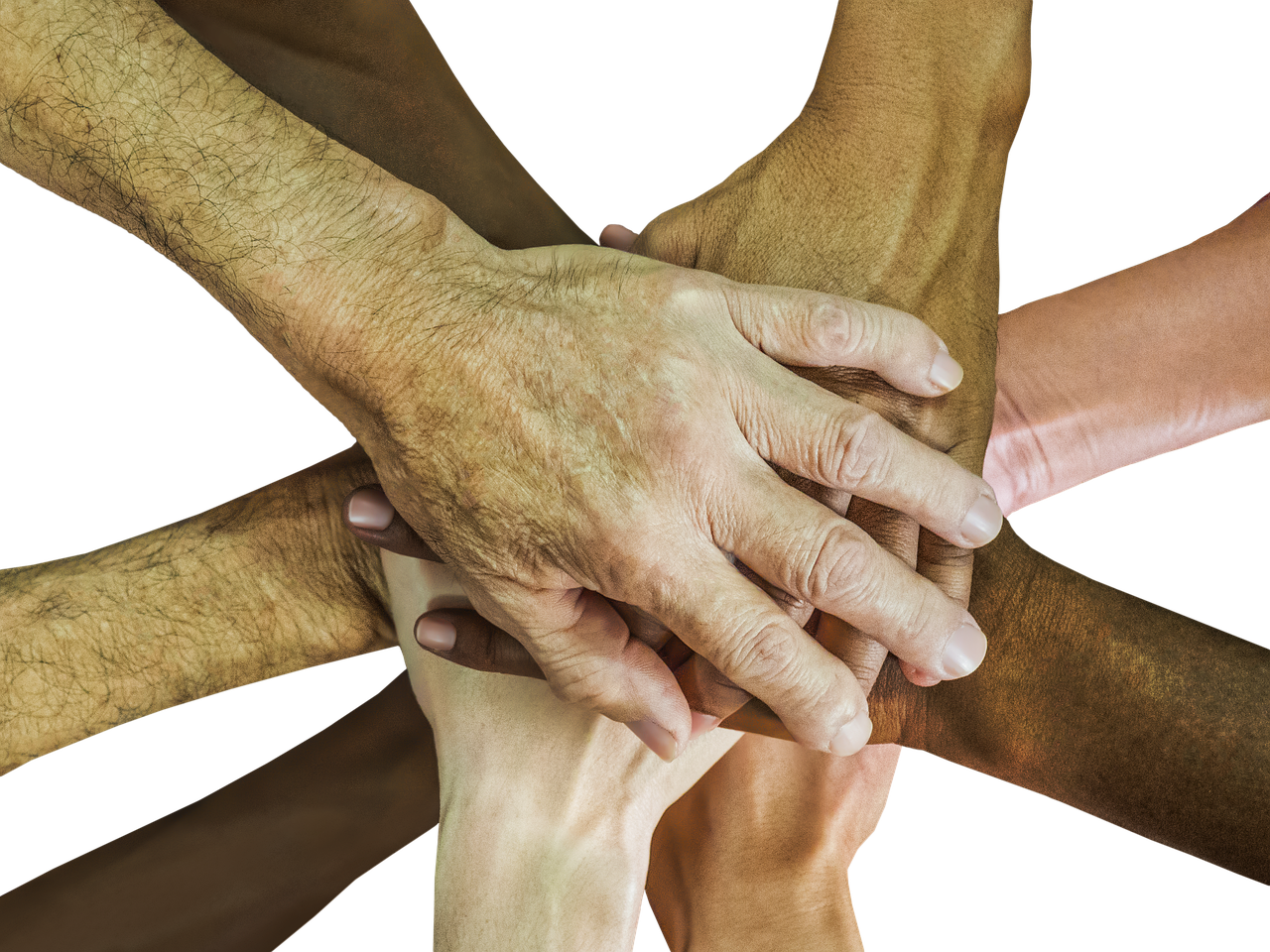 元素方尖：app加人软件详情下载教程