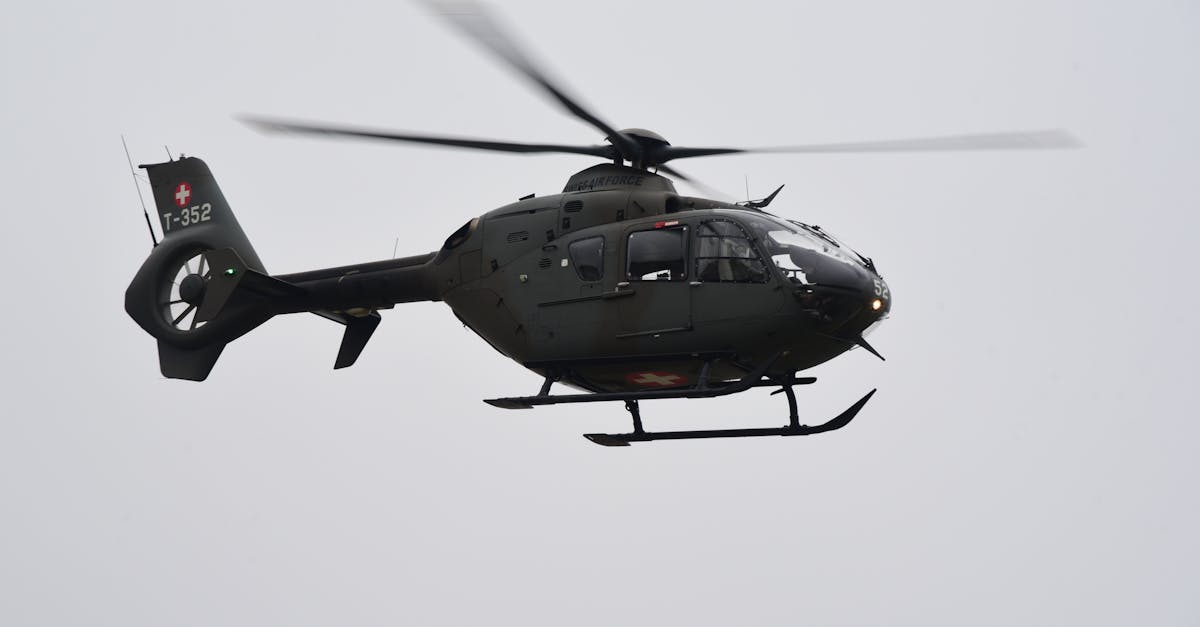 分发实名账号：瘟疫公app详情下载教程